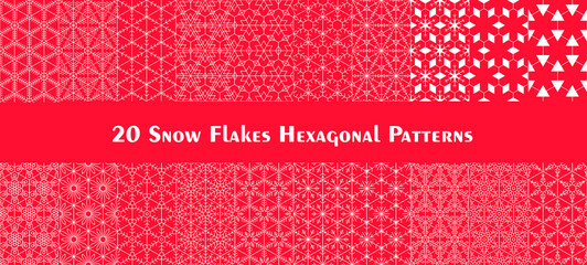 Set of twenty hexagonal Snow Flake Patterns. Christmass and New Year wallpaper or wrapping paper design.