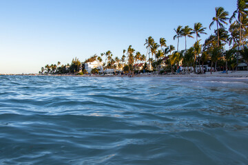 beach with palm trees