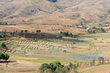 Fototapeta premium landscape madagascar 