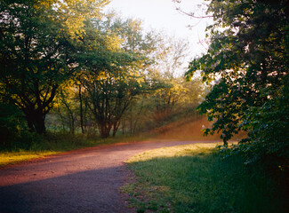 Naklejka premium Morning sunshine.