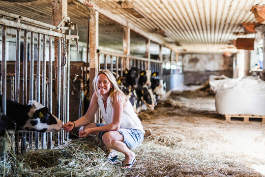 Woman in cowshed, Sweden