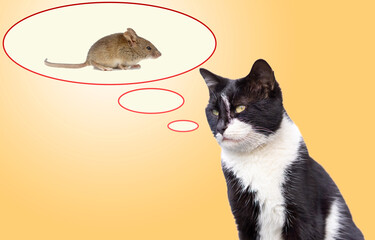 the cat thinks the mouse in the speech bubble.