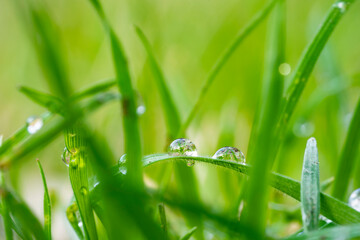 Gotas de agua