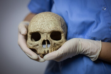 Young woman doctor holding skull at her body