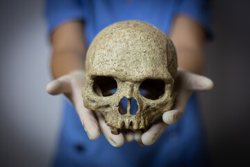 Young woman doctor holding a skull in her hands