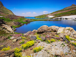 Fototapeta na wymiar A lake view in the mountains, colorful flowers by the lake, green meadows. blue sky 