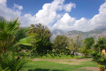 Fototapeta na wymiar Mountain landscape in Turkey. Green trees and palms against the backdrop of high mountains and thick white clouds.
