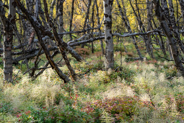 Kiruna, Sweden - september 2019