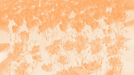 Light orange floral background with tulips flowers pattern