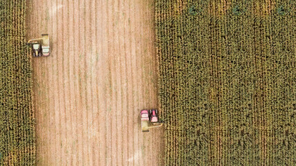 agriculture aerial view