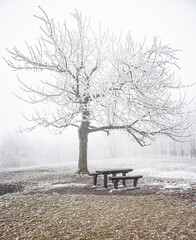 Fototapeta na wymiar Bench in the public park in winter