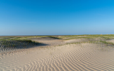 sand dunes and grass, Burgh-Haamstede, Netherlands