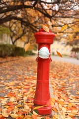 Red hydrant on a background of autumn leaves