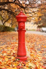 Red hydrant on a background of autumn leaves