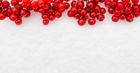 Frozen berries and branches of red Viburnum on white snow.
