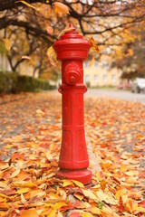 Red hydrant on a background of autumn leaves