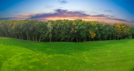 Morning fog in the light summer forest.