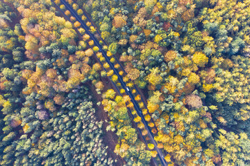 arial photo autumn forest