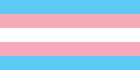 Transgender Trans Pride Flag Vector
