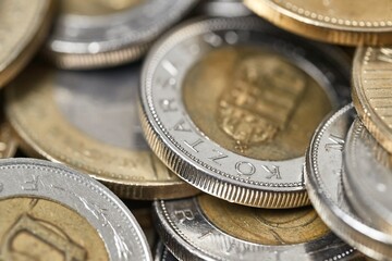 Money coin hungarian forint high detail macro closeup