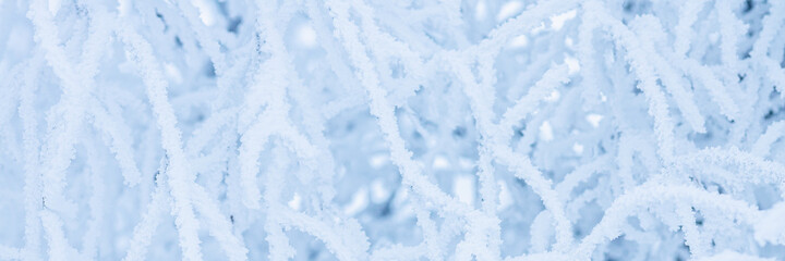 Snow and rime ice on the branches of bushes. Beautiful winter background with trees covered with...