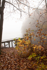 Autumn Fog at the Green Mountain Nature preserve in Huntsville Alabama
