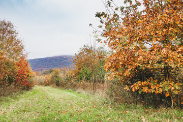 Roy B Whitaker Birding Trail in Paint Rock Alabama
