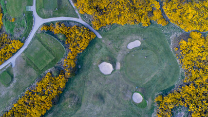 Hopeman Golf Course on the Moray Coast in Spring with Yellow Gorse - obrazy, fototapety, plakaty
