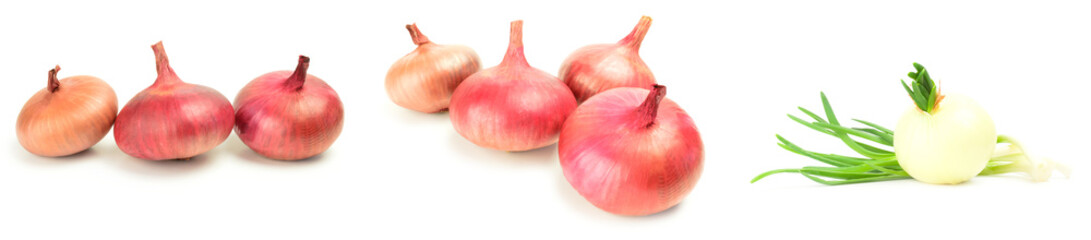 Collage of Fresh bulbs of onion isolated on a white background cutout