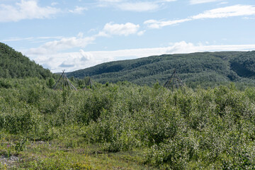 Fototapeta na wymiar View from Sautso, Alta, Finnmark, Norway