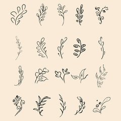 Doodle collection of 20 hand-drawn floral elements. Big collection of 20 hand-drawn branches. Big floral botanical set. Isolated