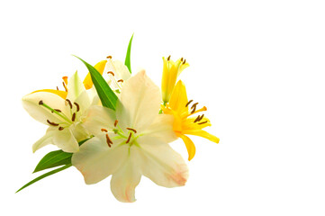 Bouquet of white and yellow lilies (Liliaceae) with green leaves on a white isolated background close up