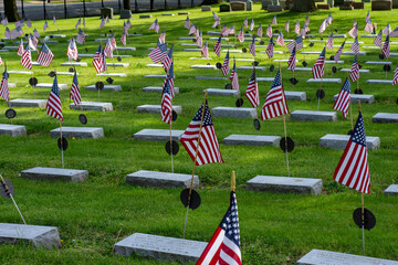 American flags on the graves of veterans during Memorial Day