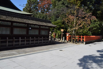 Fototapeta premium 八坂神社