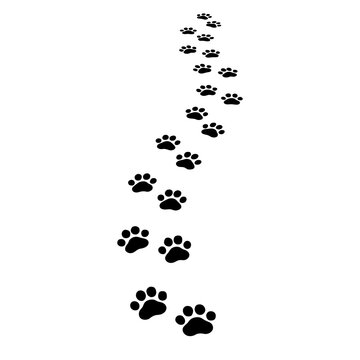 Paw print. Footprints for pets, dog or cat. Pet prints pattern. Foot puppy. Black silhouette shape paw. Perspective away footprint pet. Animal track. Receding trace dogs, cats. Cute background. Vector