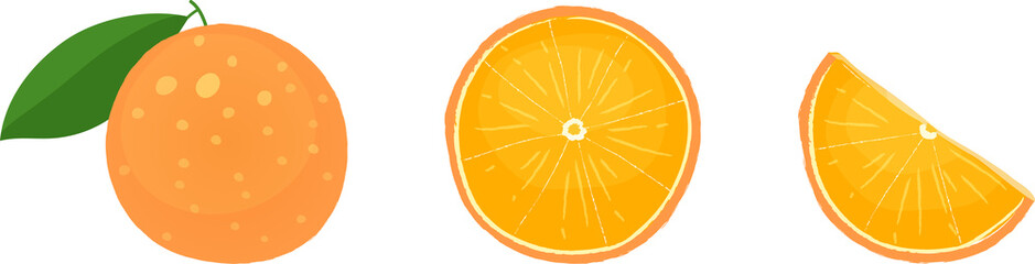Orange fruits in whole, slice, and wedge forms. Isolated vector illustrations on white background.