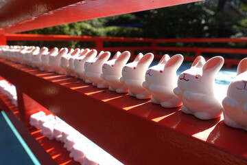 岡崎神社のウサギ