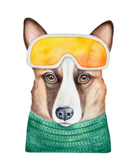 Water color drawing of cute young dog portrait wearing bright ski goggles. Hand painted watercolour graphic illustration. Cut out clip art element for creative design decoration, greeting card, badge.