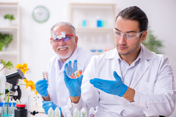 Two chemists working in the lab