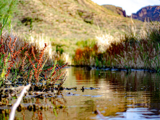 Landscape with water reflection
