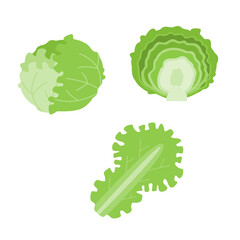 レタスのシンプルなベクターイラスト