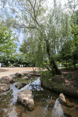 Fototapeta premium 梶ケ谷第1公園（神奈川県川崎市高津区）