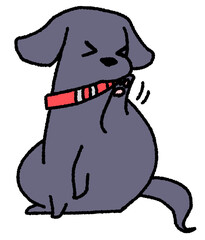 体がかゆい小型犬（黒色）