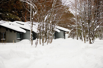 Wooden house in a snowy forest