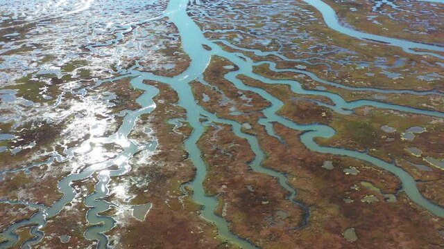 Narrow channels meander through a beautiful estuary in Central California. Estuaries form when freshwater runoff meets and mixes with saltwater from the ocean. Lots of wildlife rely on estuaries.