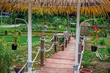 Fototapeta premium A background view of the natural ambience within the local community garden, the well being, the fresh air and the wind blowing.