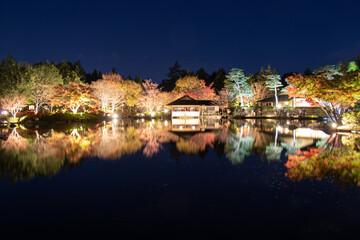 Fototapeta na wymiar 黄昏と日本庭園のライトアップ