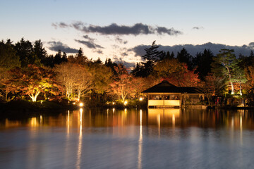 ライトアップされた日本庭園