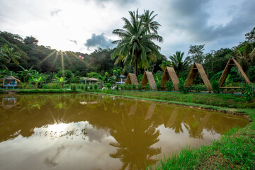 A background view of the natural ambience within the local community garden, the well being, the fresh air and the wind blowing.