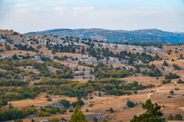 Autumn steppe landscape on a mountain plateau with low trees.